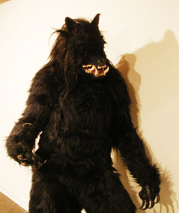 MIss Monster's Werewolf Costume - Slasher Industries